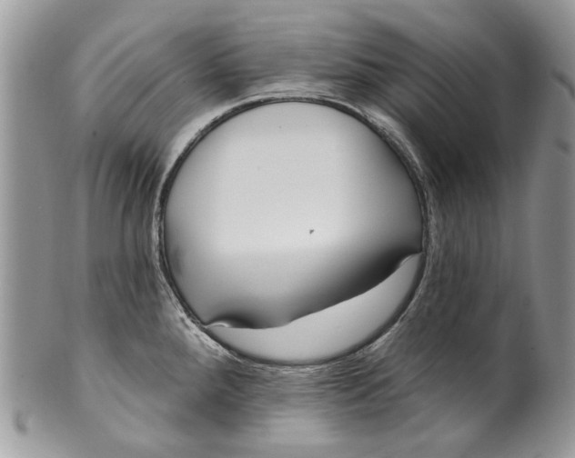 X0000099961288200806131501