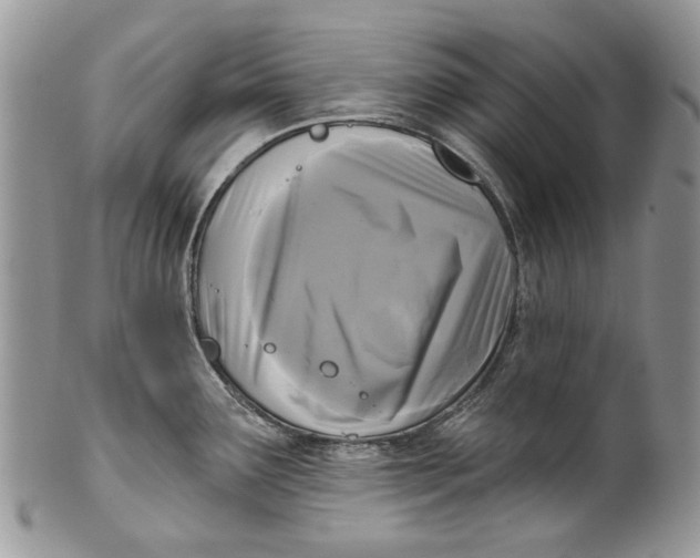 X0000099961291200806131501