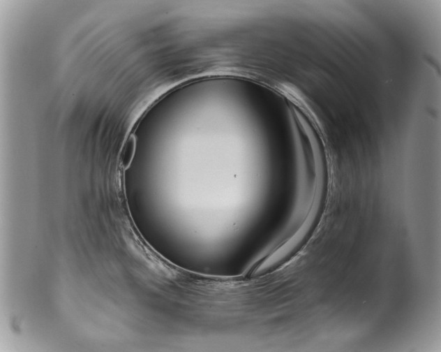 X0000099961292200806131501