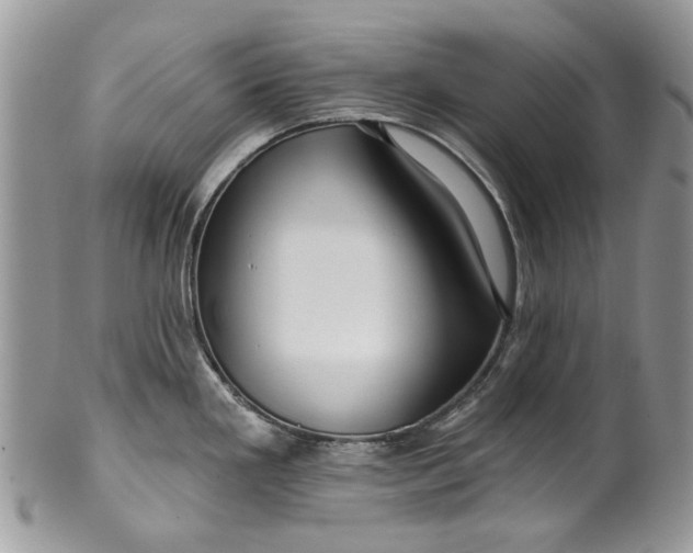 X0000099961293200806131501