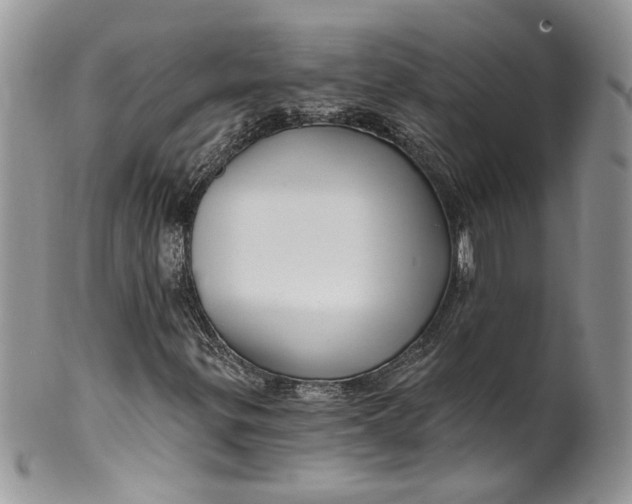 X0000099961299200806131501
