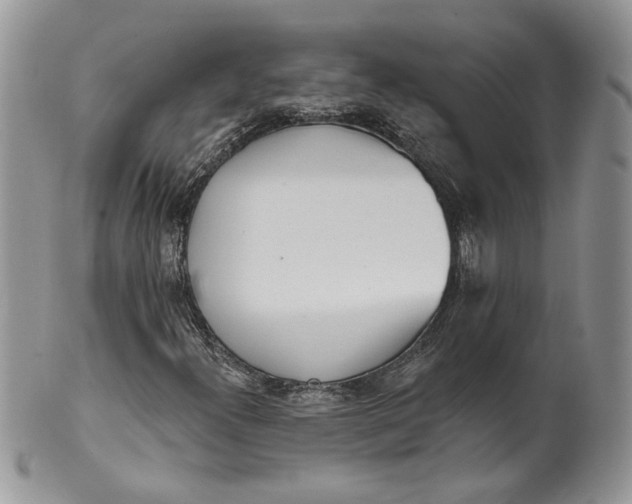 X0000099961300200806131501