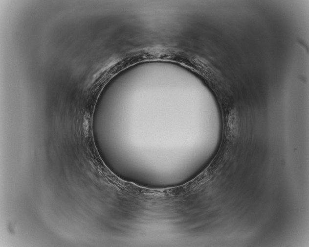 X0000099961302200806131501