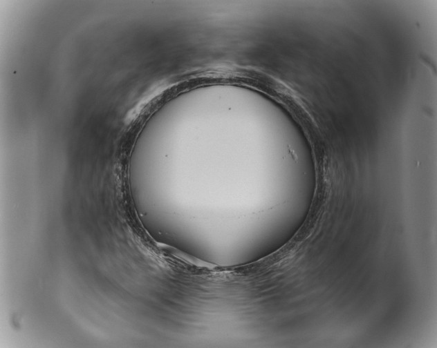 X0000099961304200806131501