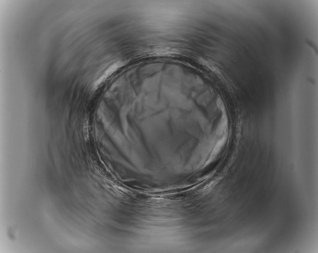 X0000099961306200806131501