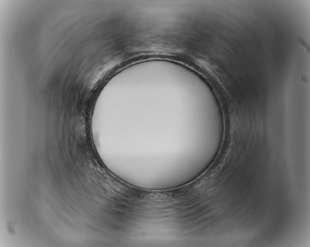 X0000099961307200806131501