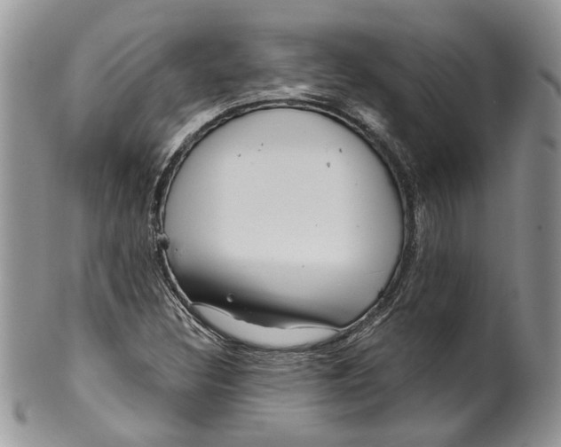 X0000099961308200806131501