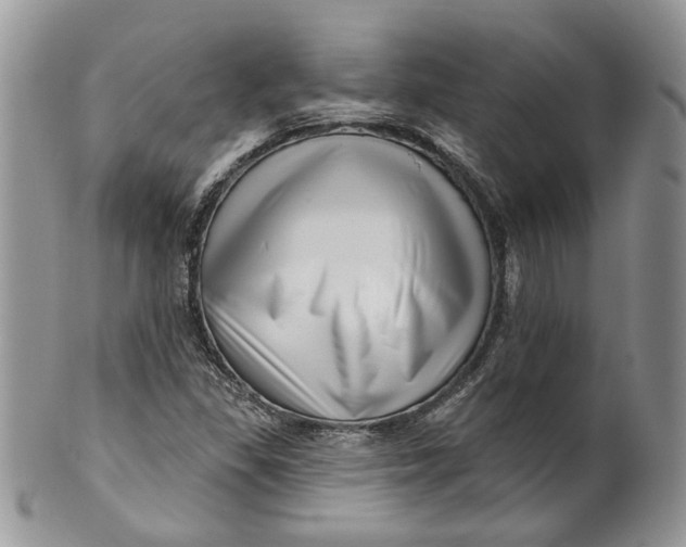 X0000099961309200806131501
