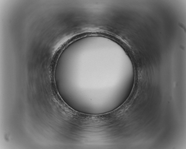 X0000099961311200806131501