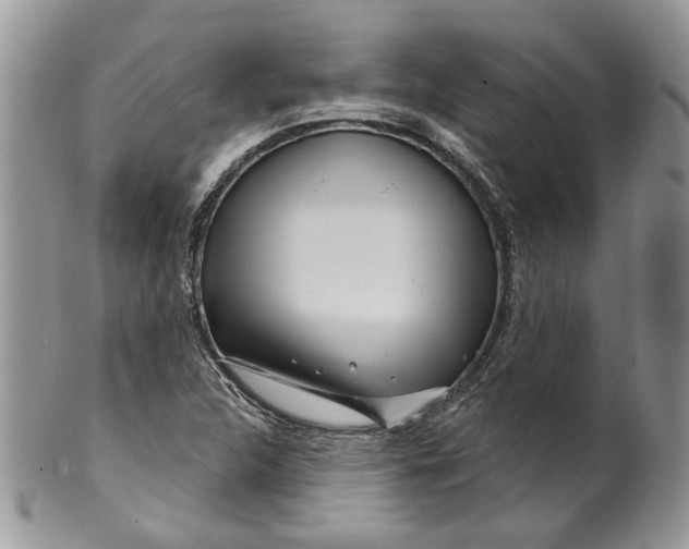 X0000099961312200806131501