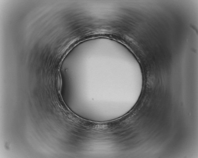 X0000099961313200806131501