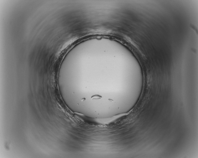 X0000099961315200806131501