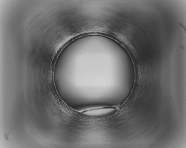 X0000099961316200806131501