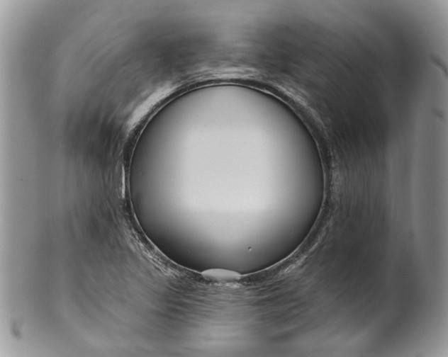 X0000099961317200806131501