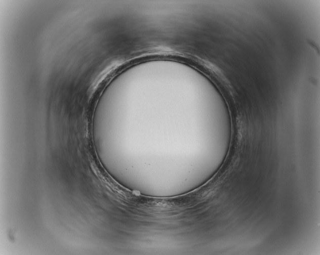 X0000099961318200806131501