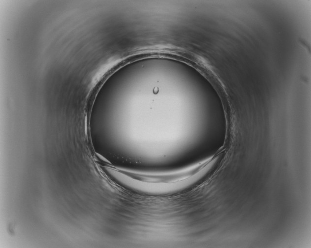 X0000099961320200806131501