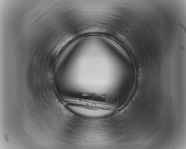 X0000099961321200806131501