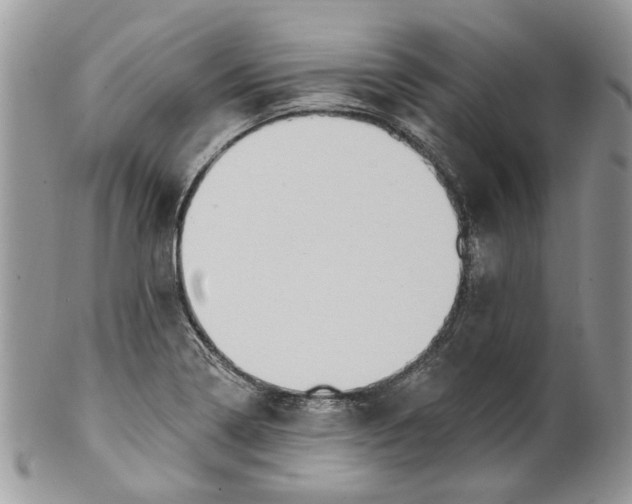 X0000099961322200806131501