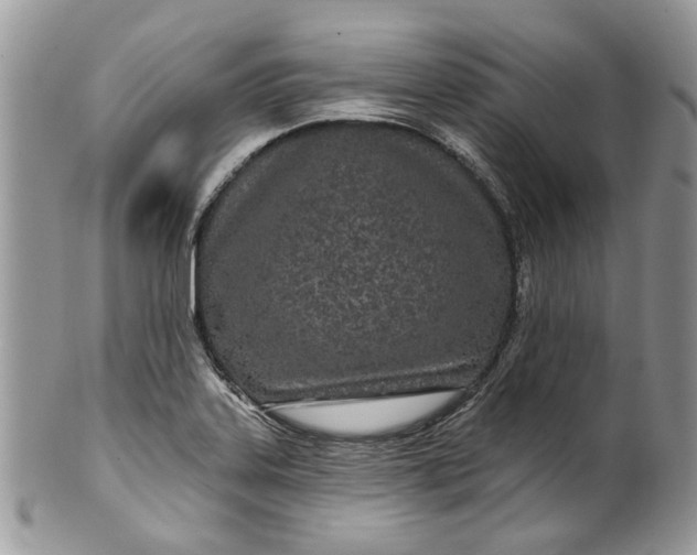 X0000099961323200806131501