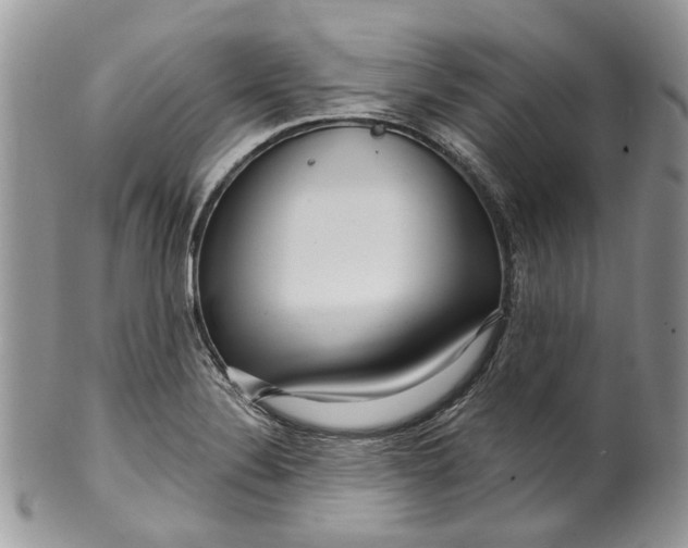 X0000099961324200806131501