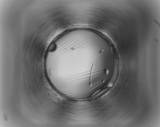 X0000099961325200806131501