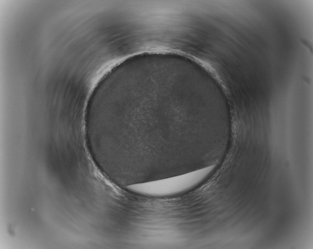 X0000099961327200806131501