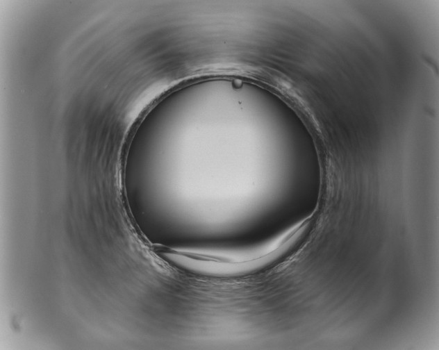 X0000099961328200806131501
