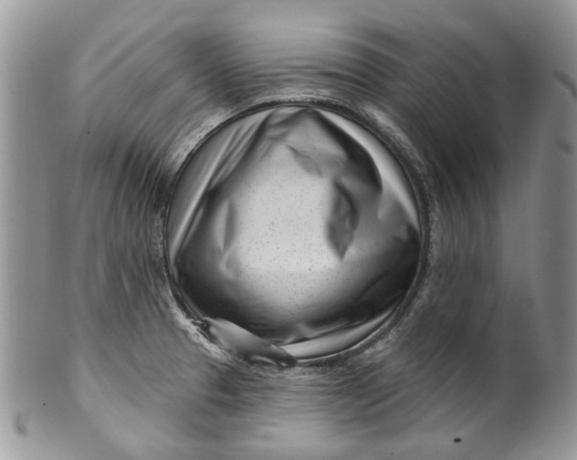 X0000099961329200806131501