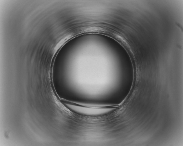X0000099961330200806131501
