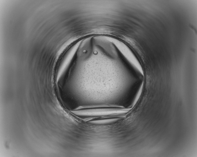 X0000099961331200806131501