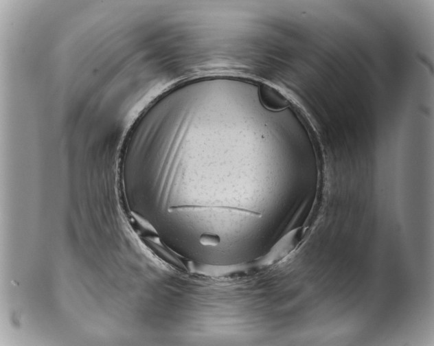 X0000099961333200806131501