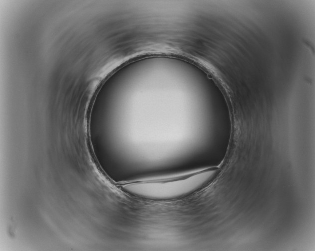 X0000099961335200806131501