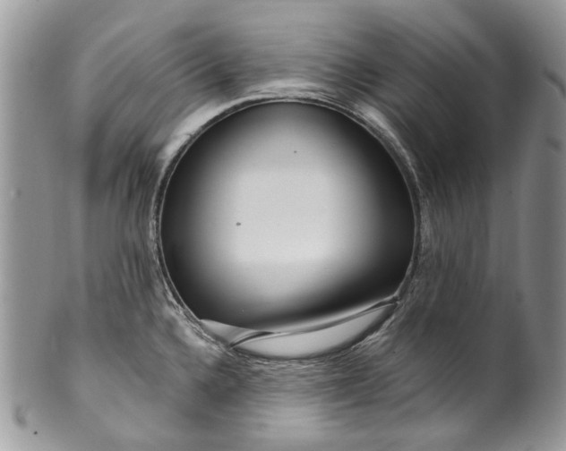 X0000099961336200806131501