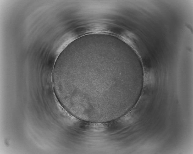 X0000099961338200806131501