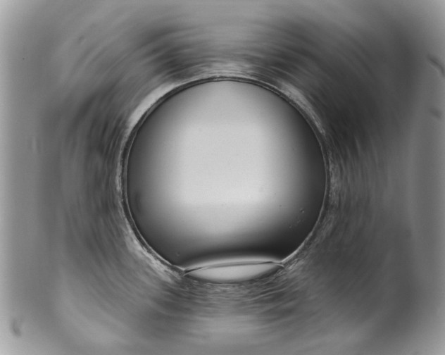 X0000099961339200806131501