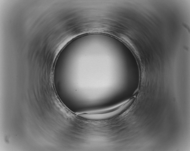 X0000099961340200806131501