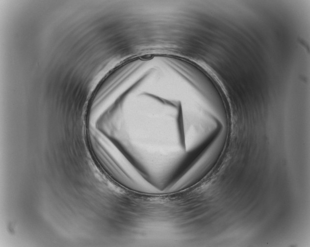 X0000099961341200806131501