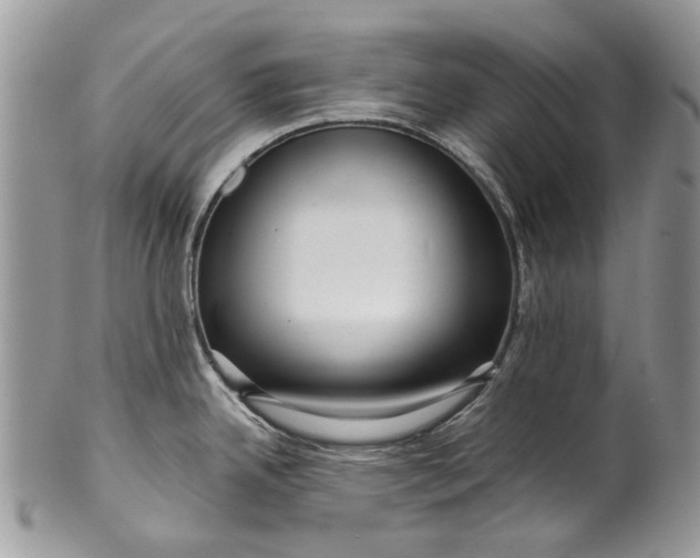 X0000099961342200806131501