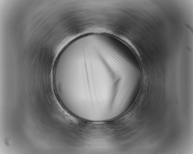X0000099961343200806131501