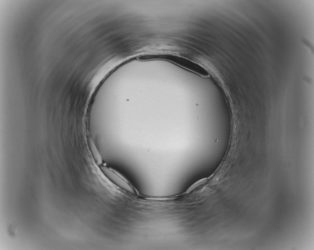 X0000099961344200806131501