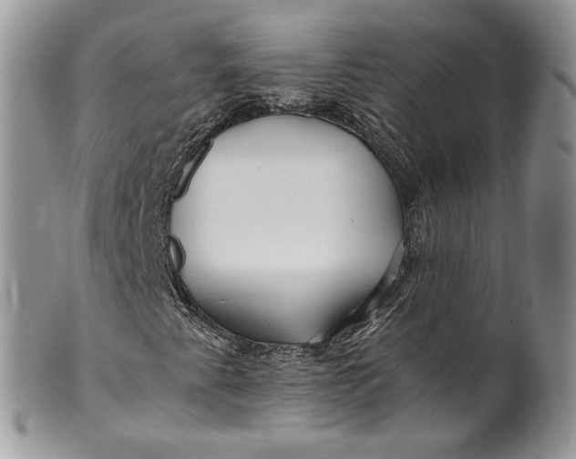 X0000099961345200806131500