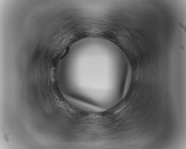 X0000099961346200806131500