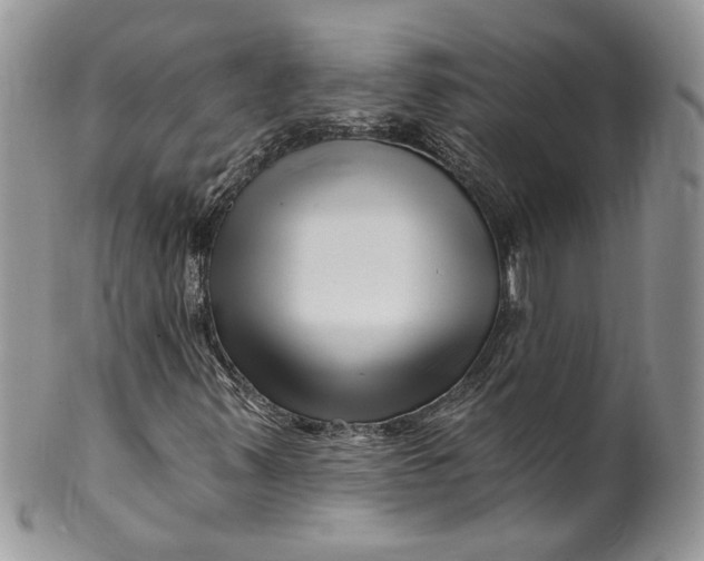 X0000099961347200806131500