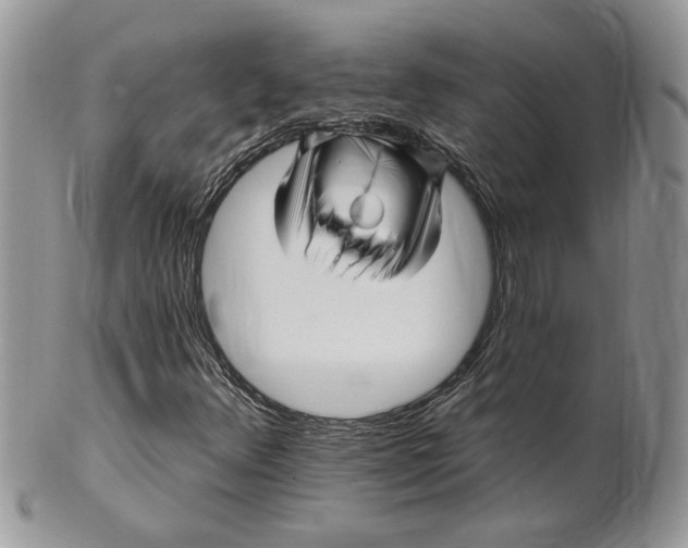 X0000099961348200806131500
