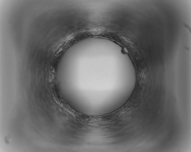 X0000099961349200806131500