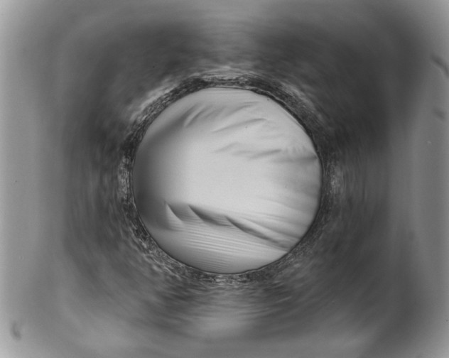 X0000099961350200806131500