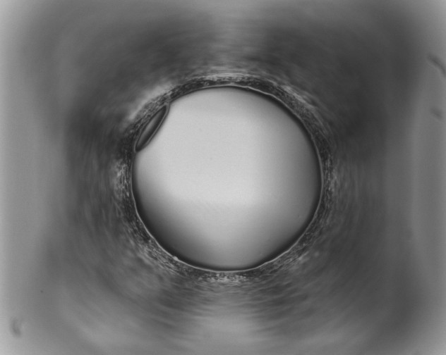 X0000099961351200806131500
