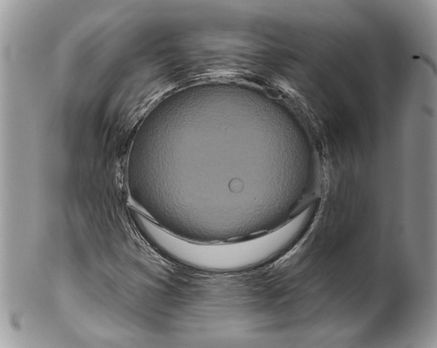 X0000099961353200806131500