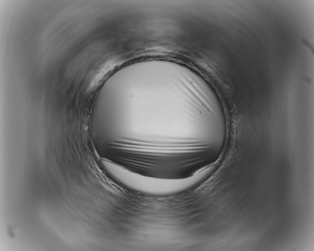 X0000099961355200806131500