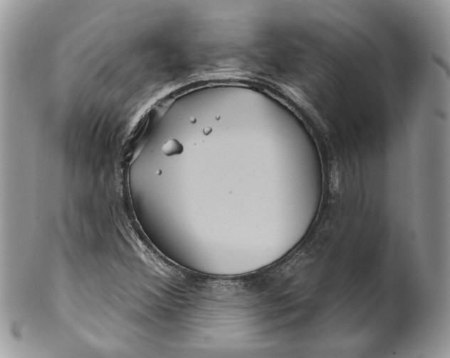 X0000099961356200806131500